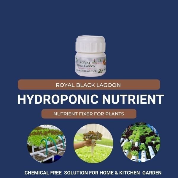 HYDROPONIC NUTRIENT ROYAL BLACK LAGOON - COMPLETE PLANT FOOD  Royal Black lagoon- takes care of the plant's nutrition and food requirements. It is a highly concentrated biotechnology product developed on the basis of organic molecular chemistry. The unique extraction method from different herbs, gives pure L - Amino acid with organic Carbon and other essential nutrients required by plants. This product is versatile which can be used during growth, flowering and fruit setting.