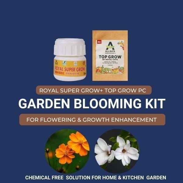 GARDEN BLOOMING KIT ROYAL SUPER GROW – Plant Growth Enhancer ALLBATA’s Royal SUPER GROW NOCA, Certified, Agricultural and Domestic use, bio stimulant, strong vegetative growth, improved fruit-set, ripening of fruit, Sustainable and Chemical free Agriculture product.