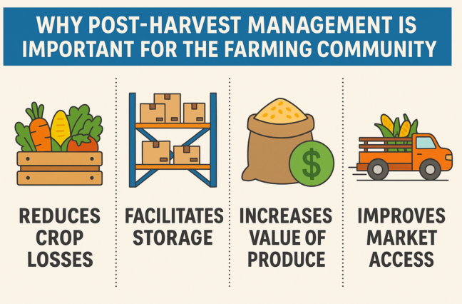 Post-harvest management is indeed the most overlooked lever of farm profitability