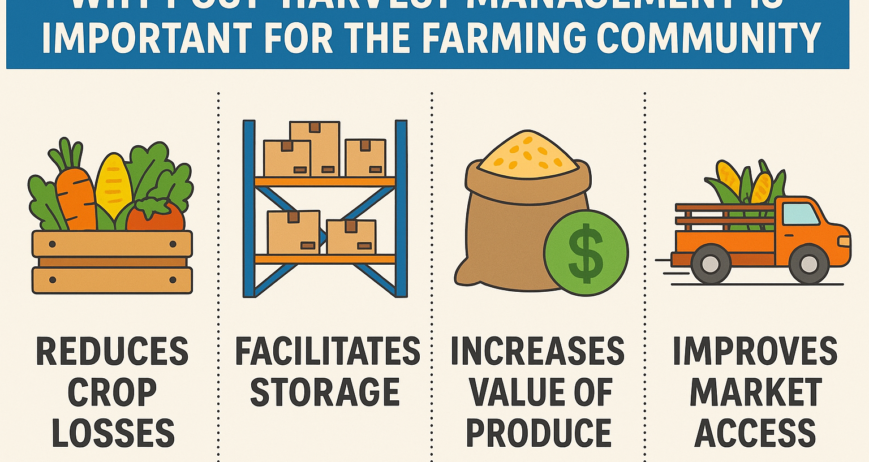Post-harvest management is indeed the most overlooked lever of farm profitability