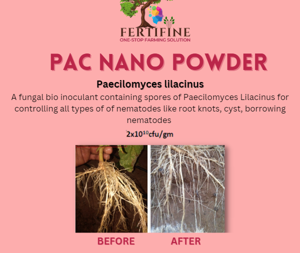 Fab Pac Nano Powder