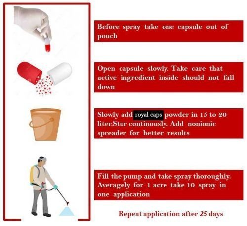 Fab Gro Capsule - Image 3