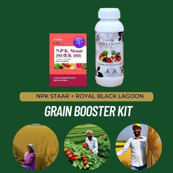 Fab Grain Boost Kit - NPK STAAR CAPSULE + ROYAL BLACK LAGOON   NPK STAAR CAPSULES  NPK STAAR CAPSULE – BIO NPK - contain Azotobacter , Phosphate solubilizing & Potassium mobilizing bacteria. The capsules contain nitrogen fixing bacteria, P solubilizing bacteria and K solubilizing bacteria that enhance nutrient availability and promote plant growth.