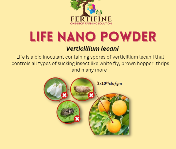 Fab Life Nano Powder