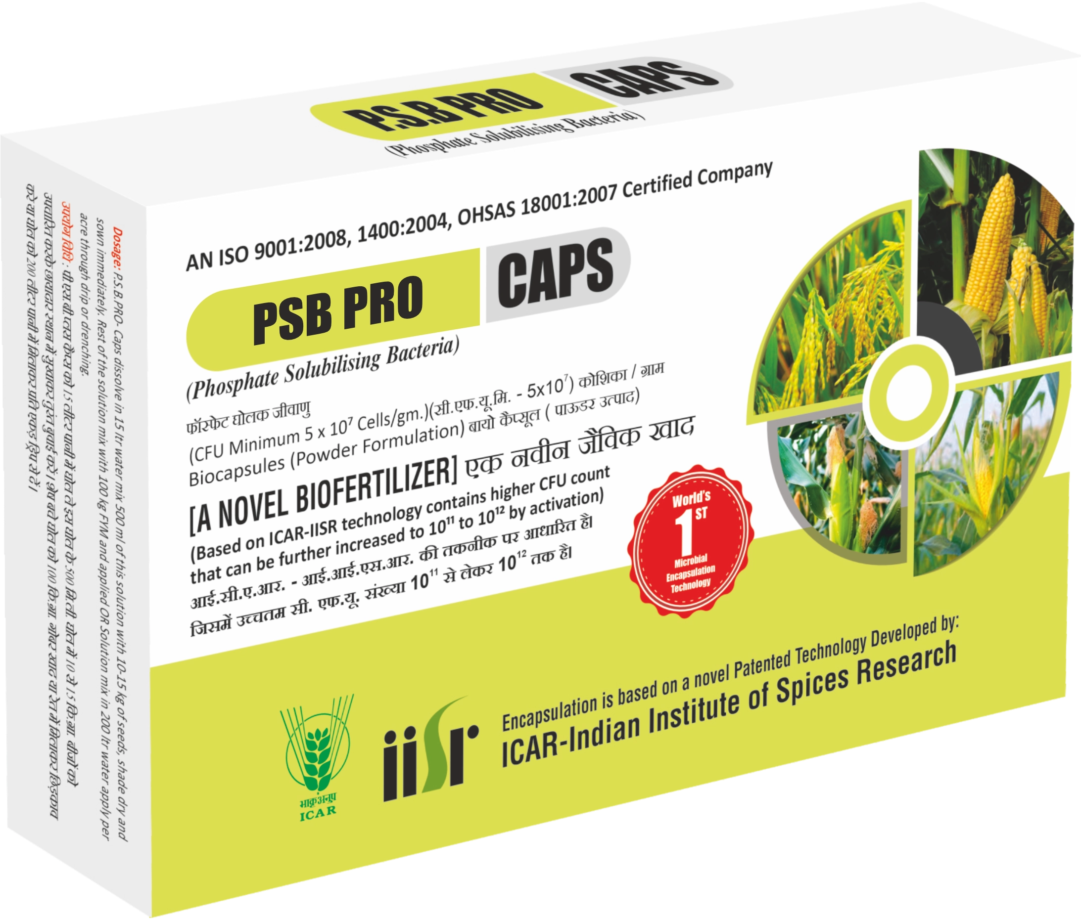 Advanced Phosphate Solubilizing Bacteria (PSB) Bio Fertilizer for Improved Phosphorus Availability & Soil Health Function: • Converts fixed / insoluble phosphate present in soil into soluble forms • Enhances root absorption through organic acids and enzymes