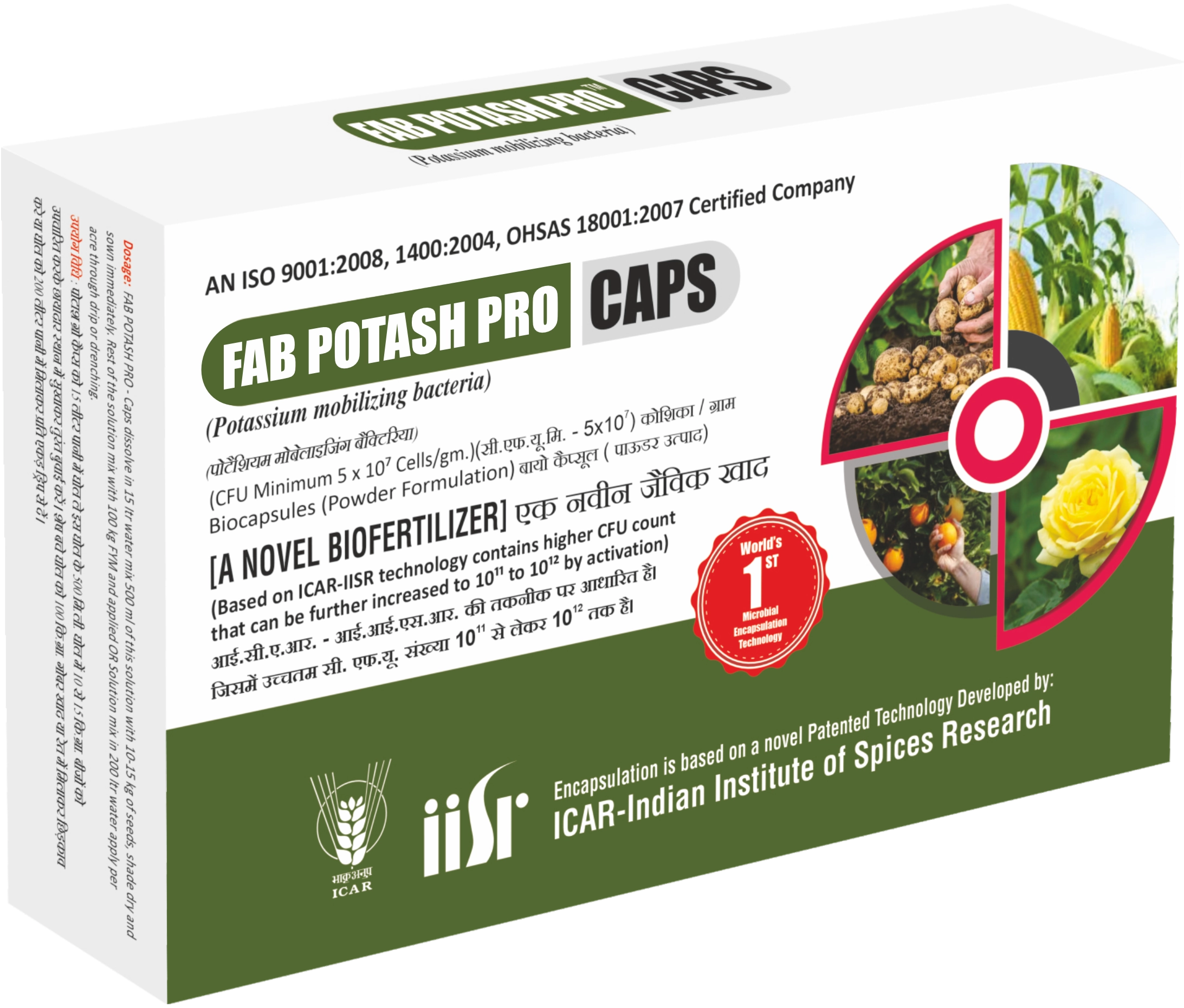 Advanced Potassium Mobilizing Bacteria (KMB) Bio Fertilizer for Improved Potassium Availability & Crop Performance Function: • Mobilizes fixed potassium present in soil • Improves potassium availability to plant roots