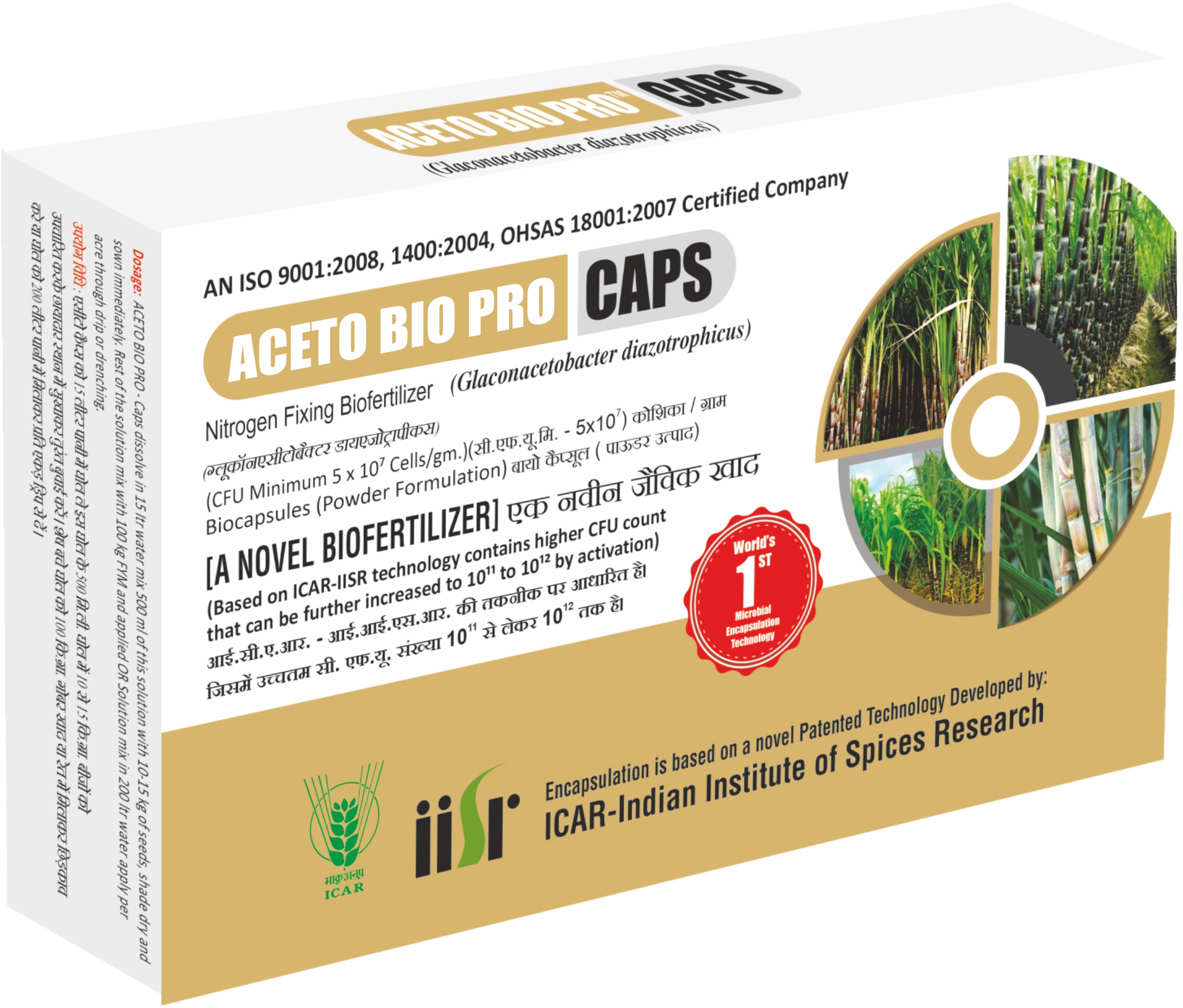 Advanced Gluconacetobacter diazotrophicus Bio Fertilizer for Endophytic Nitrogen Fixation Function: • Fixes atmospheric nitrogen via Gluconoacetobacter diazotrophicus • Supplies nitrogen directly in the rhizosphere